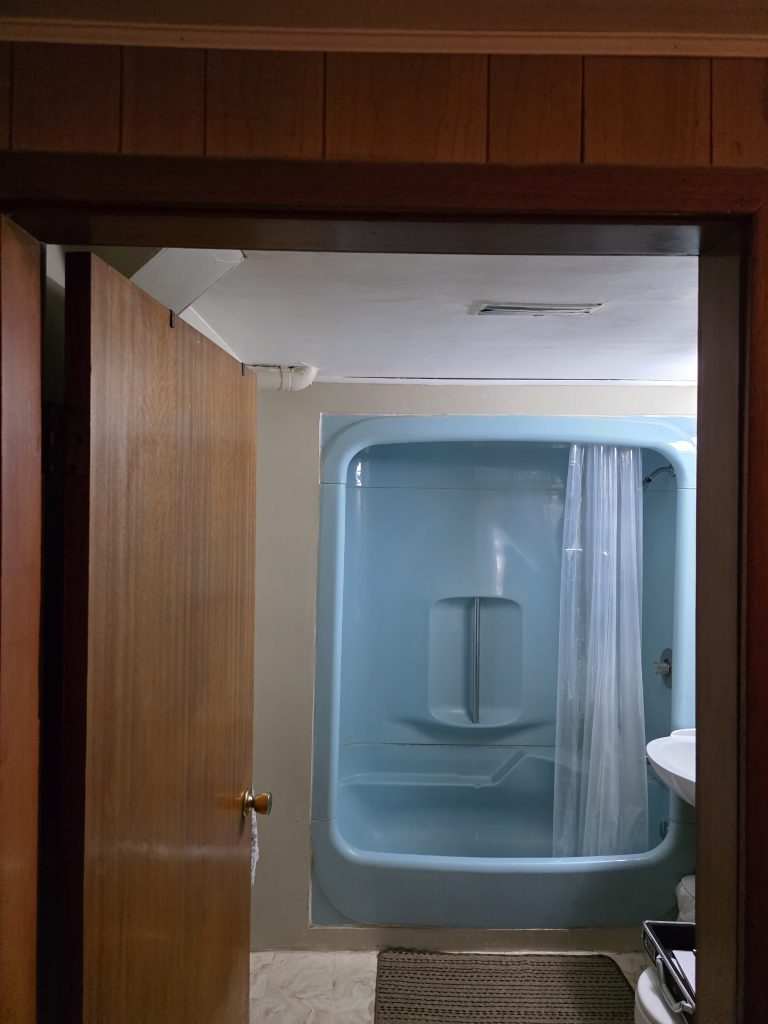 Before: dated blue shower stall