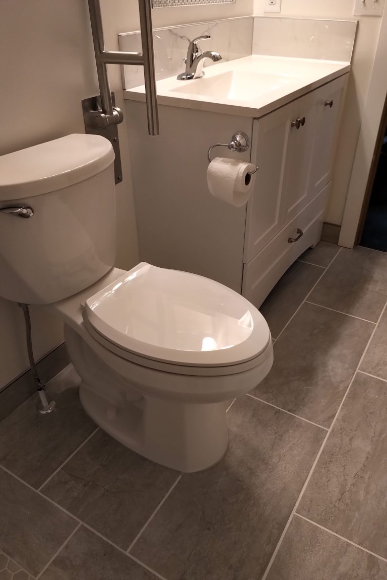 Toilet and gray vanity